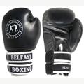 BAG&SPARRING GLOVES (BEL-001)